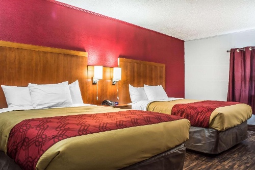 Econo Lodge Brockport image 4